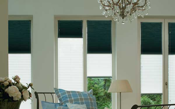 Day to Night Pleated Blinds